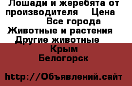 Лошади и жеребята от производителя. › Цена ­ 120 - Все города Животные и растения » Другие животные   . Крым,Белогорск